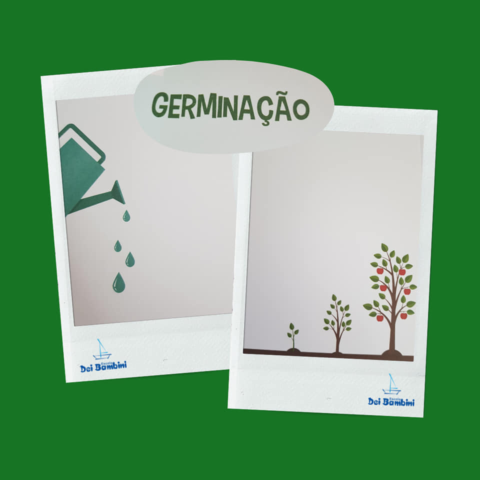 Germinação - Pré II